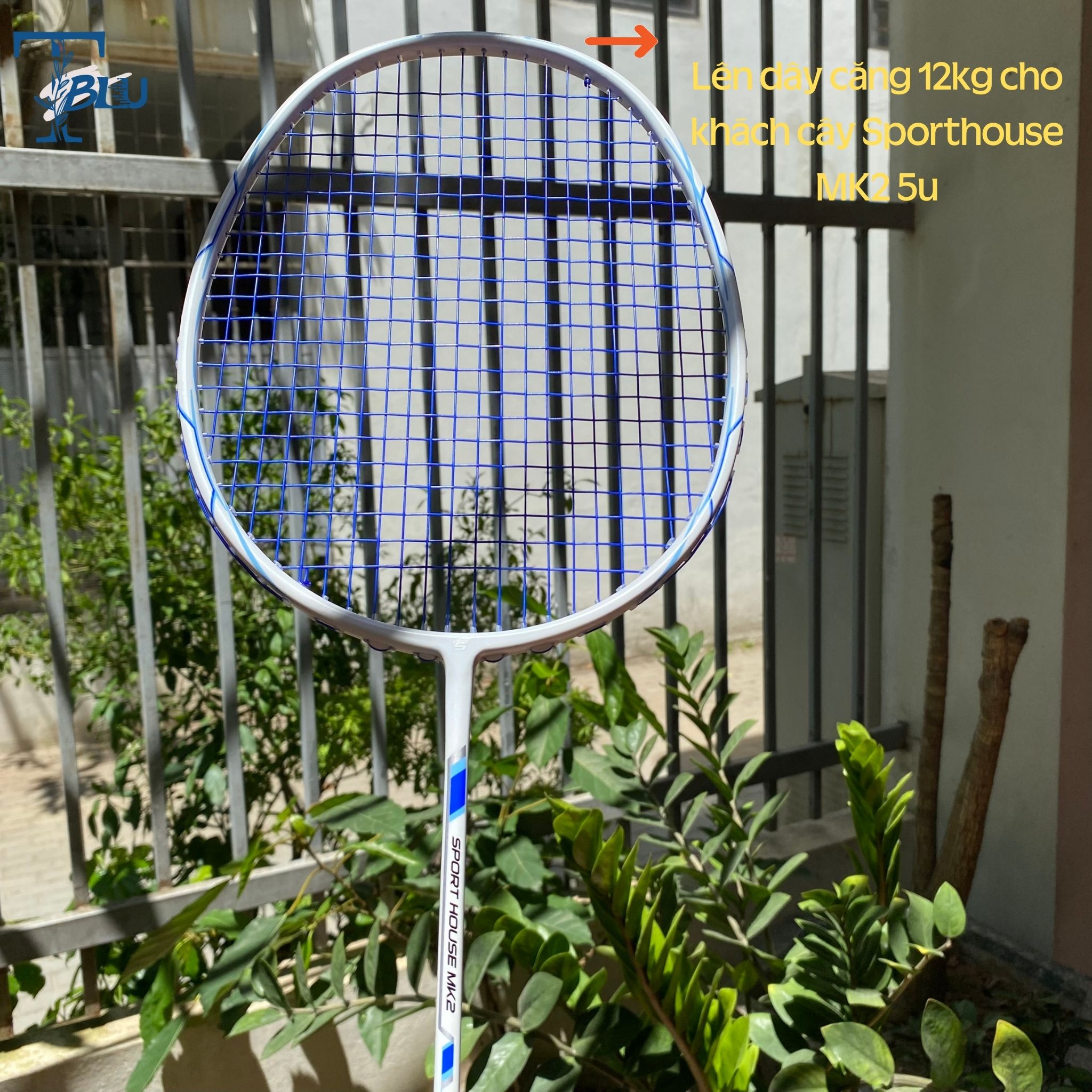 Dây cước căng lưới vợt cầu lông ALPHA GP3 ( màu ngẫu nhiên)