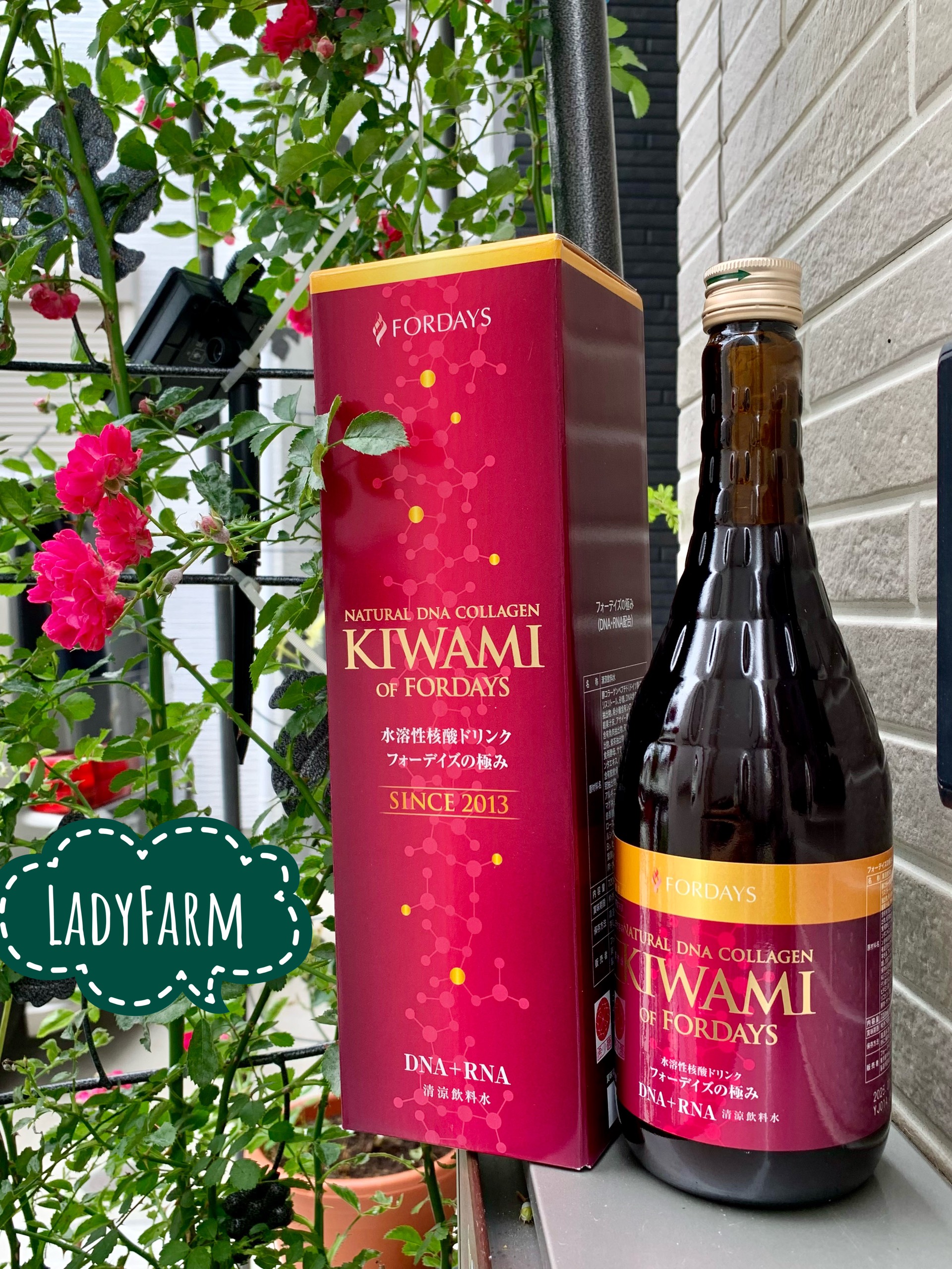 Nước uống tế bào gốc Natural DNA Collagen - KIWAMI of Fordays-Nhật 