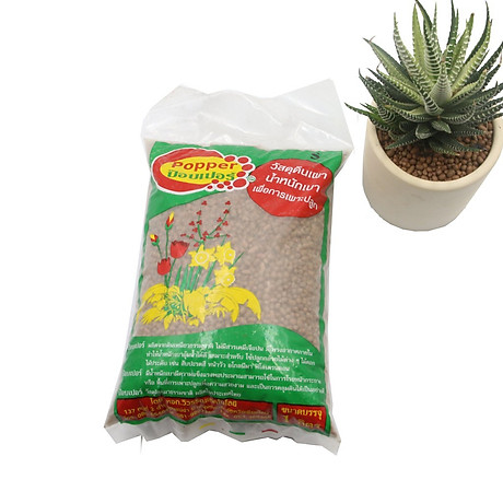 Đất Sét Nung Popper Trồng Sen Đá Bonsai Hàng Thailand