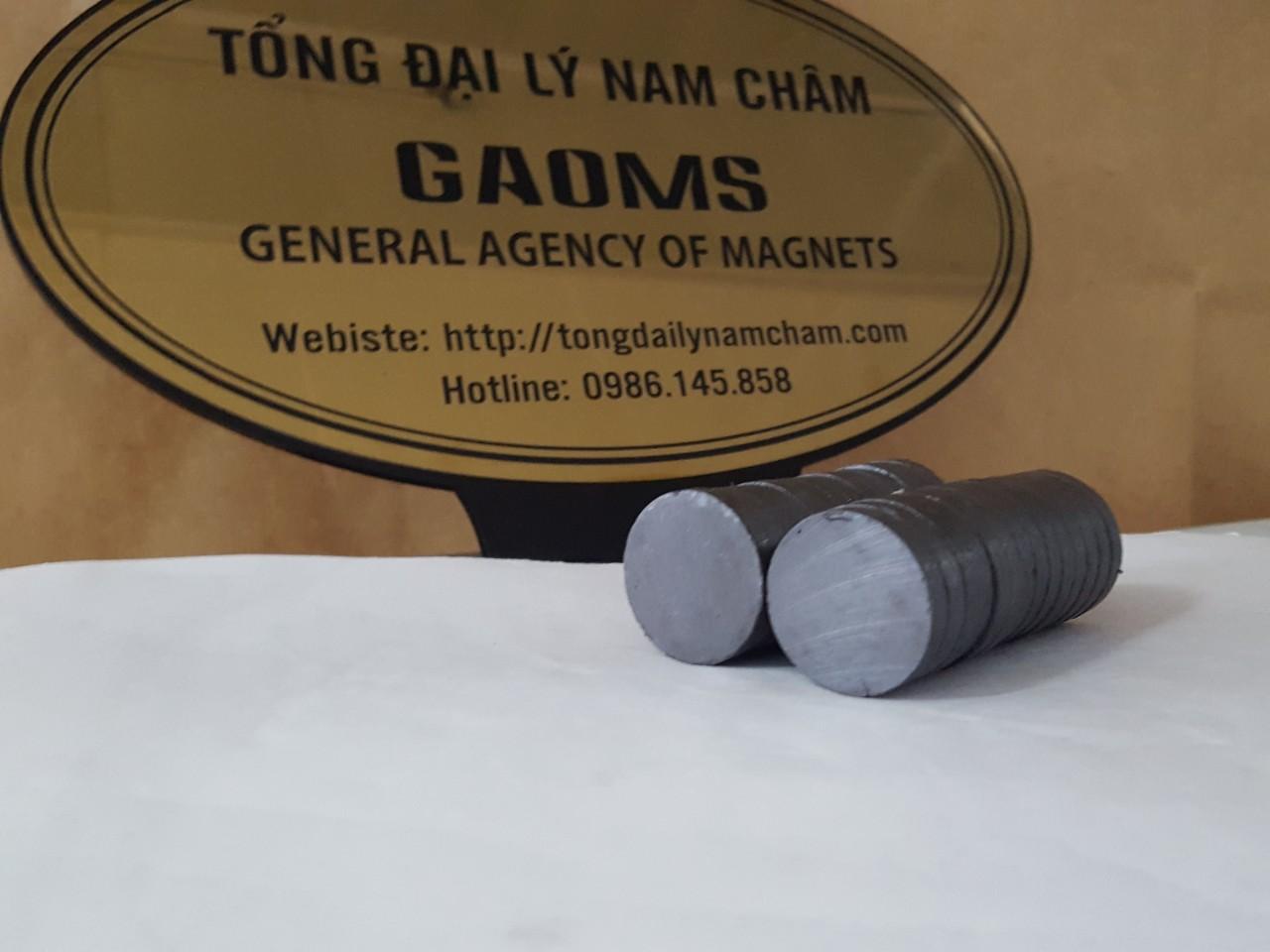 10 viên nam châm đen 30x5mm