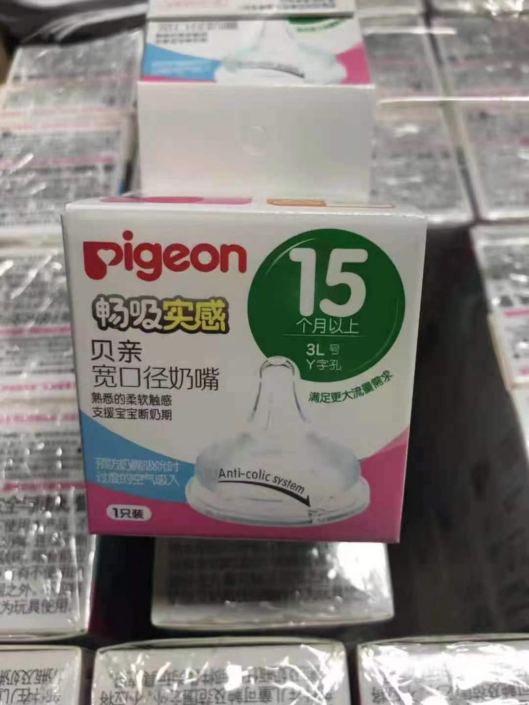 Núm ti Pigeon