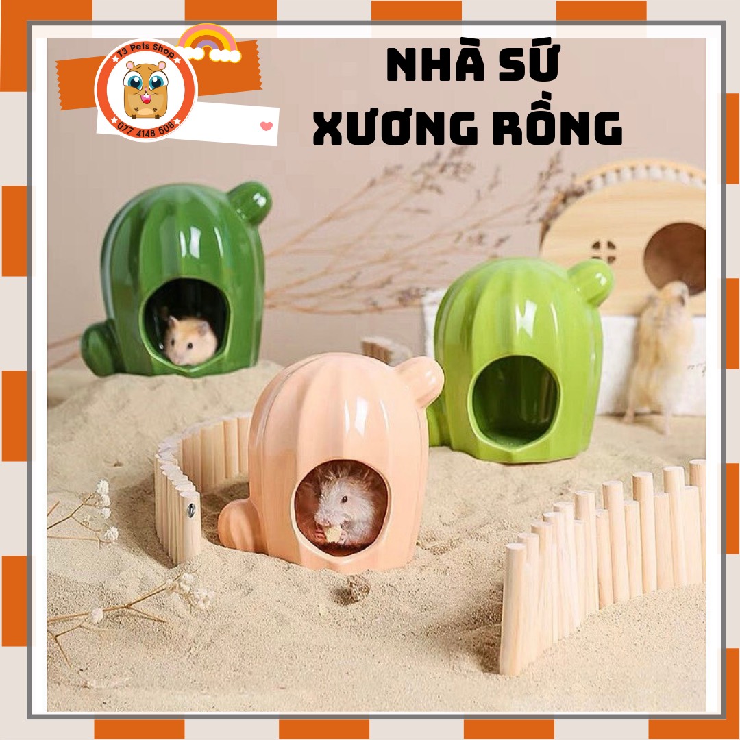 Nhà sứ xương rồng dành cho hamster