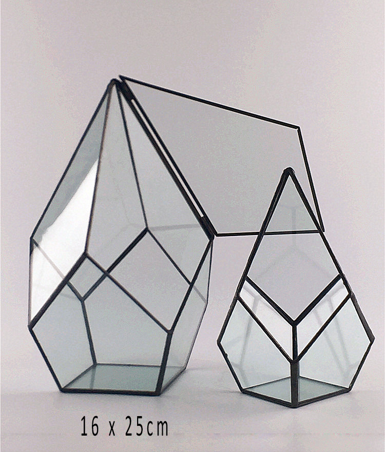 Bình thủy tinh tiểu cảnh terrarium có nắp 02