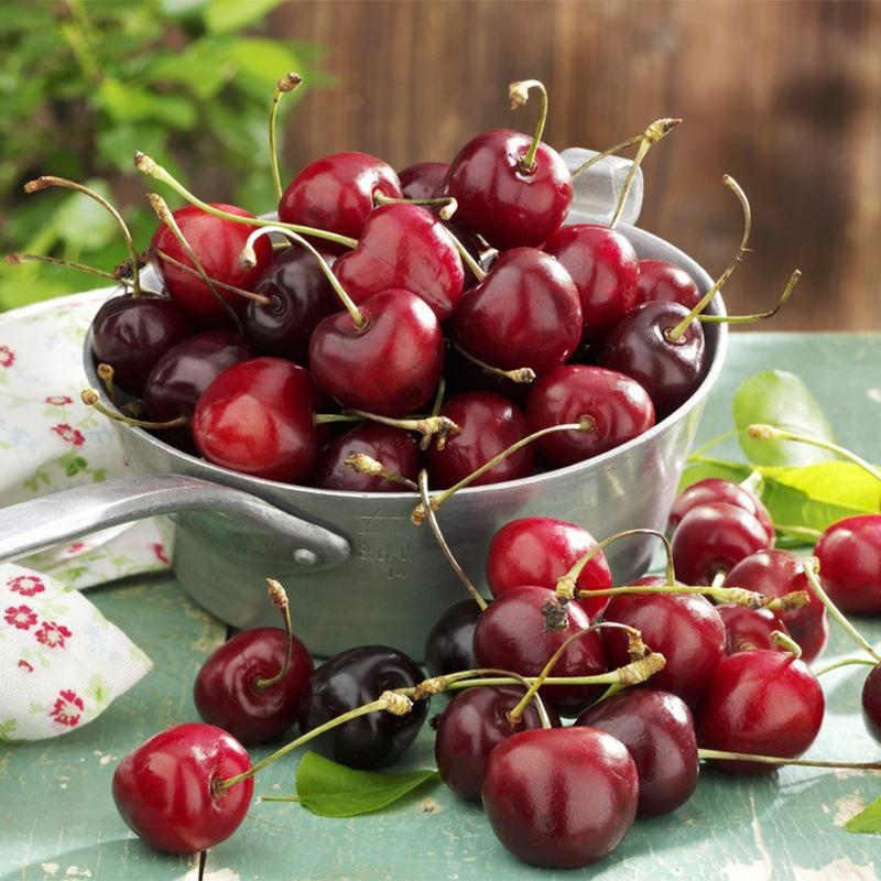 [ SP Mới Về] - Hạt giống cherry