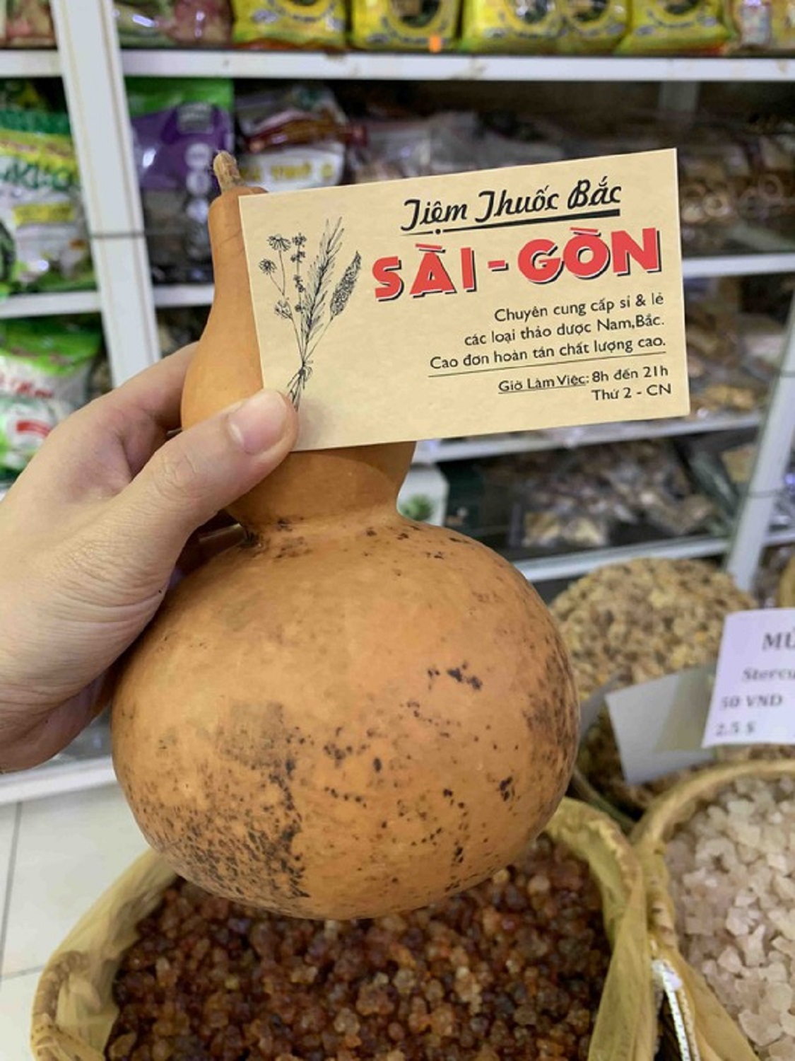 [HCM]BẦU HỒ LÔ 1 TRÁI