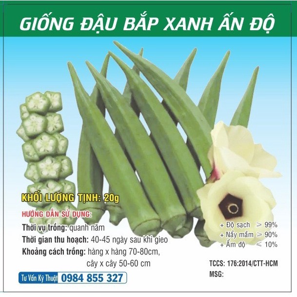 Hạt giống Đậu Bắp xanh Ấn Độ TN