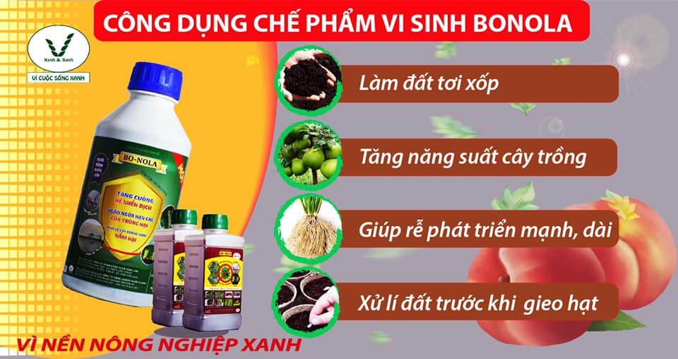 Bo-Nola , Chế phẩm vi sinh, chế phẩm trichoderma -1L