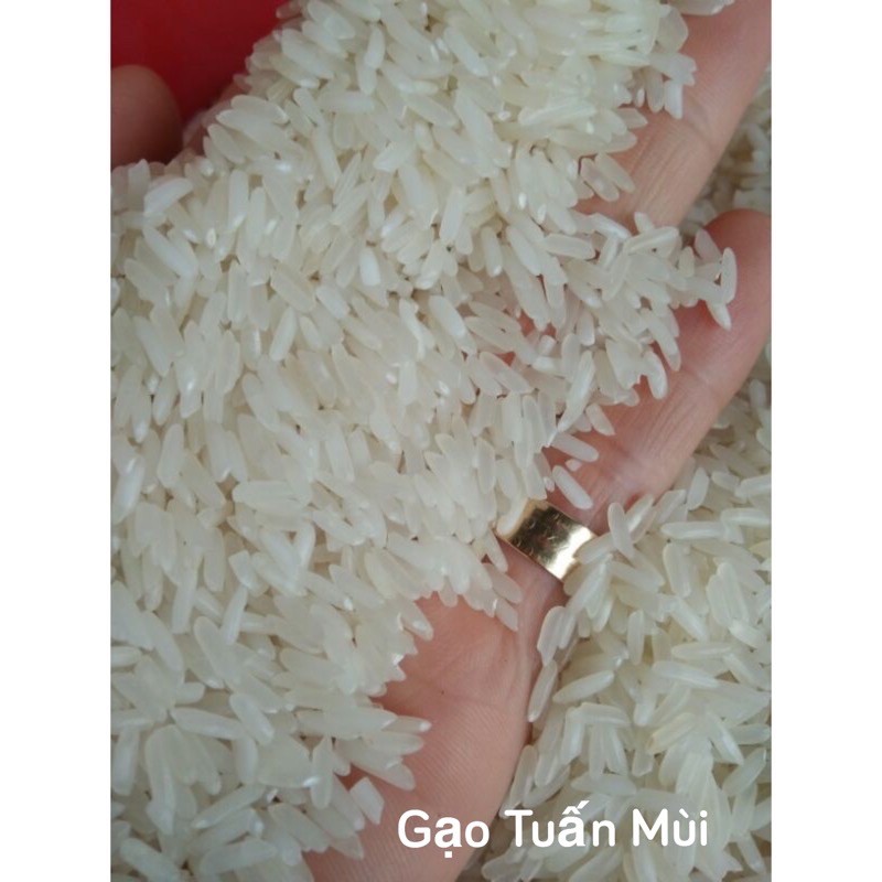 Gạo 64 Chợ Đào Dẻo Vừa Cơm (Túi 5Ký)