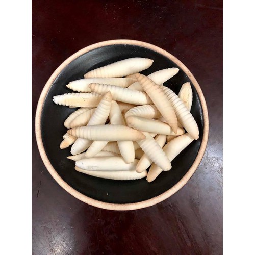 500g bánh sùng sữa nhí siêu ngon