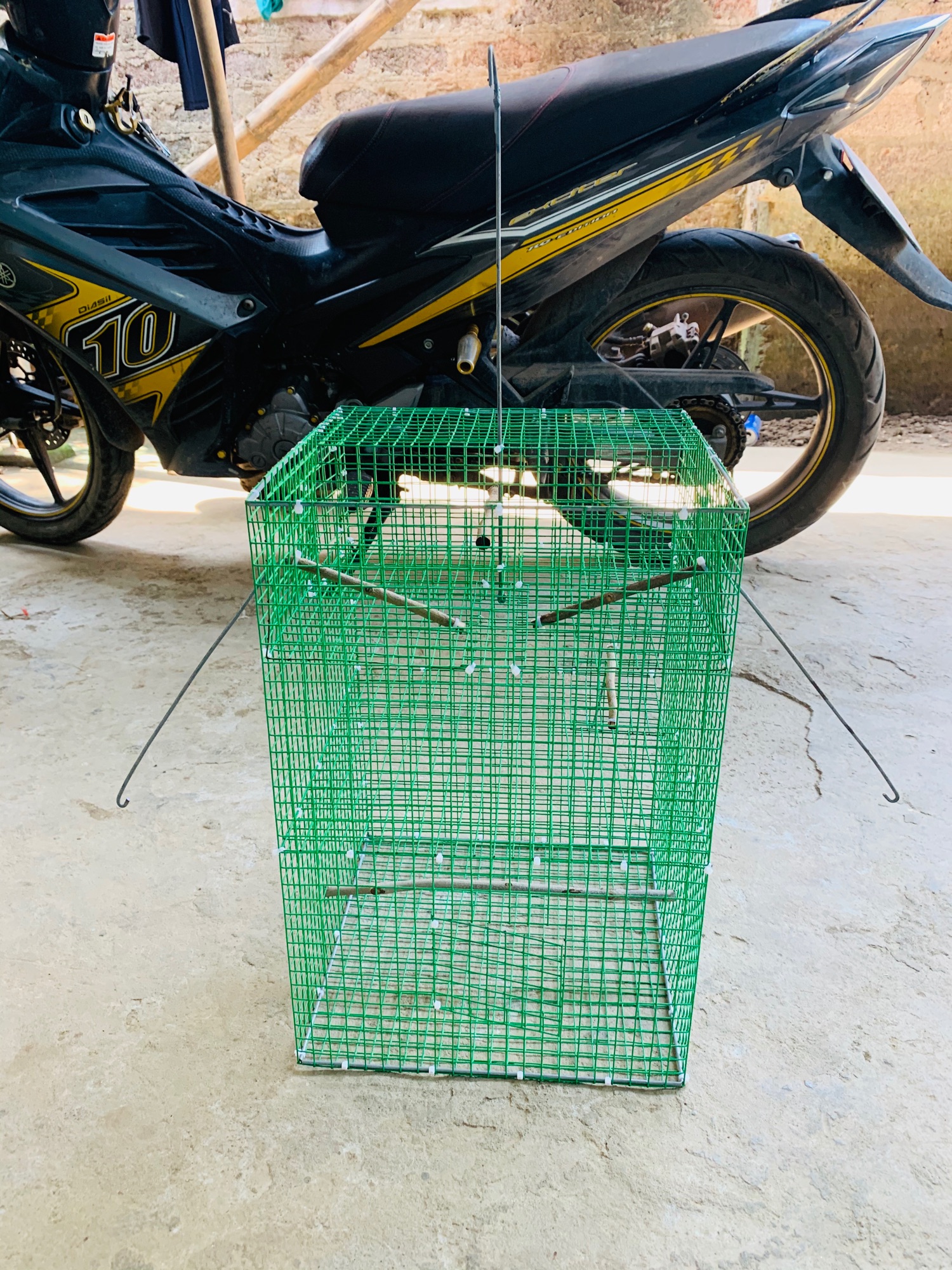 Bẫy chim tự động