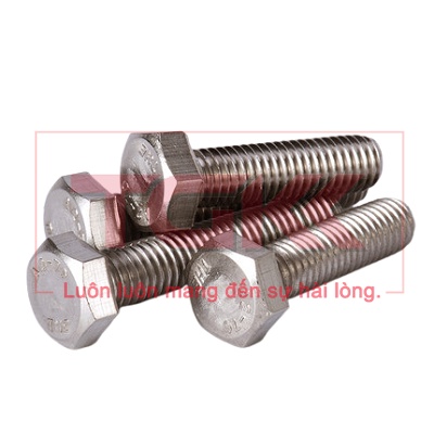 Bulong inox 304 M10