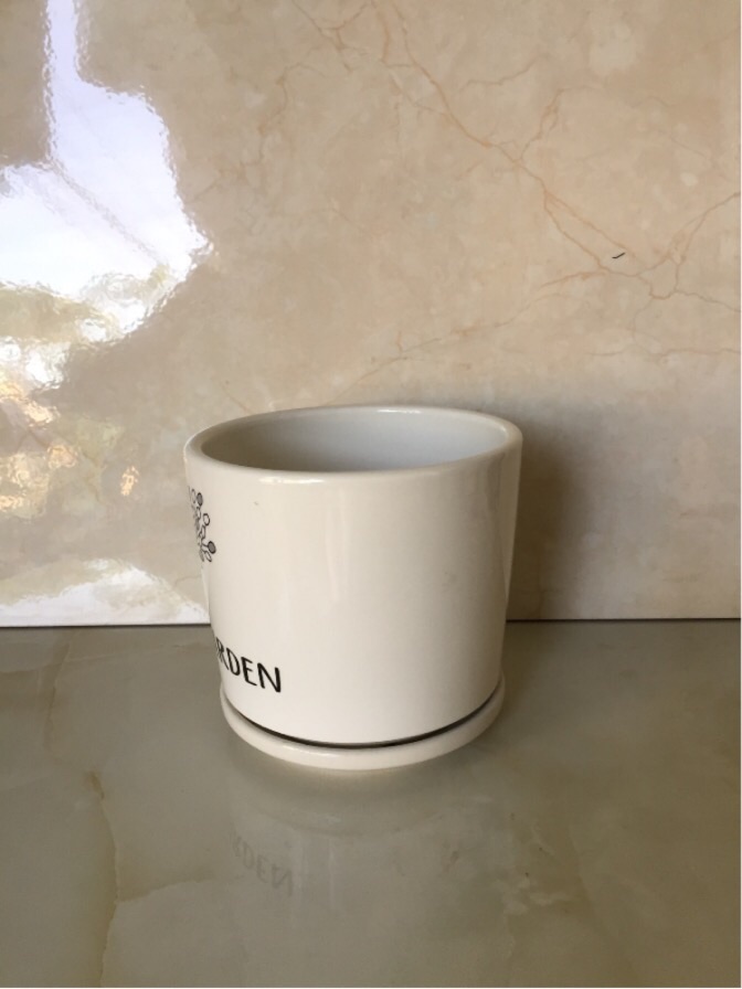 Chậu sứ để bàn cao cấp có đĩa hứng nước