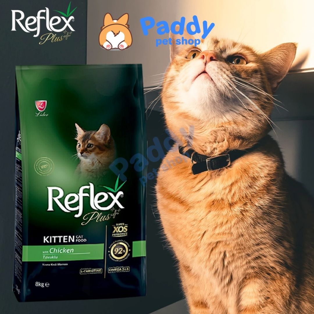 Hạt Reflex Kitten Loại Thường 2kg