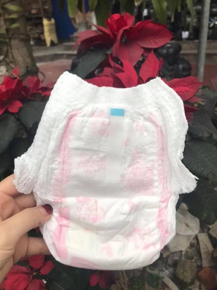 Tả quần Thạch Thảo Pabys XL38 miêng (13-17kg).