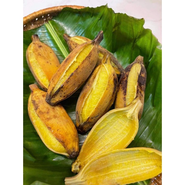 Cây giống chuối sáp nghệ siêu sớm (cây giống có bảo hành )