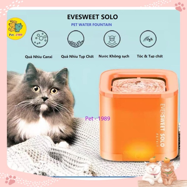 Petkit EverSweet Solo - Máy lọc nước cho thú cưng Petkit