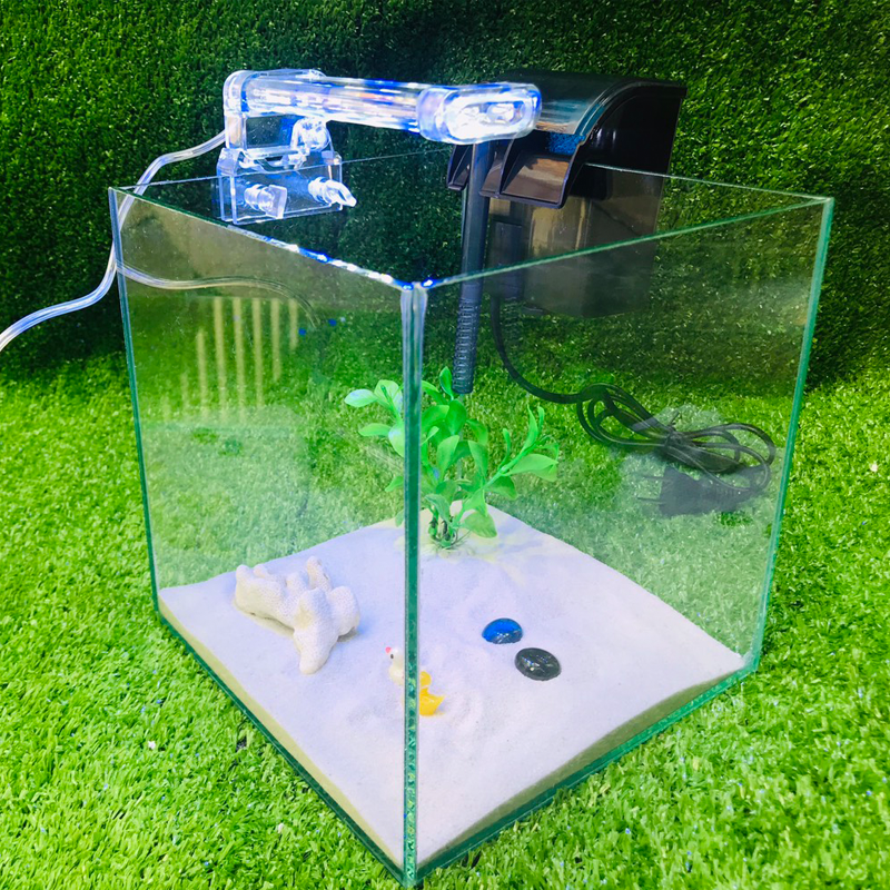 bể cá cubic - combodend10- bể cá mini