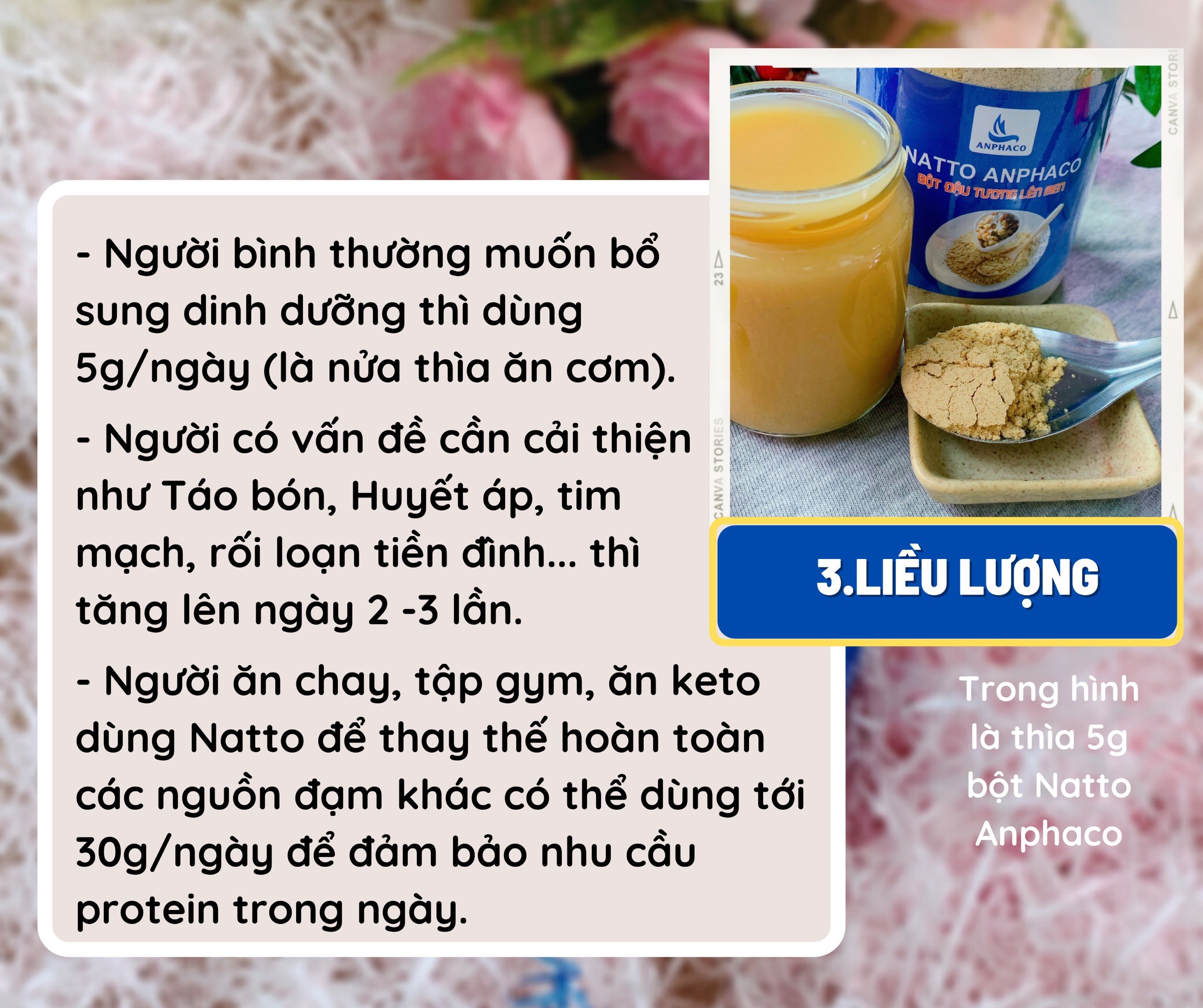 BỘT ĐẬU TƯƠNG LÊN MEN NATTO ANPHACO 100gr