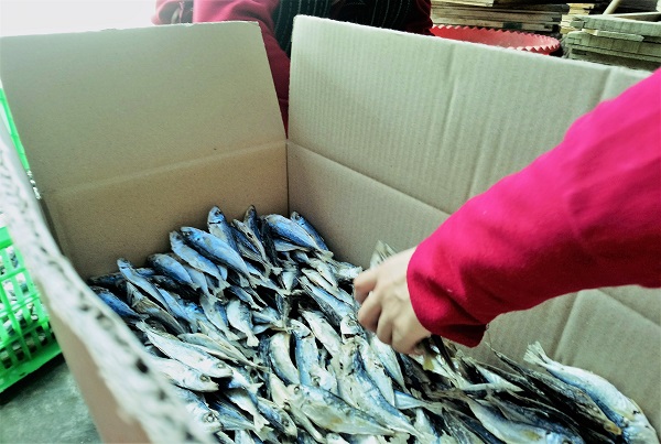 khô cá nục ngon rẻ 500gr