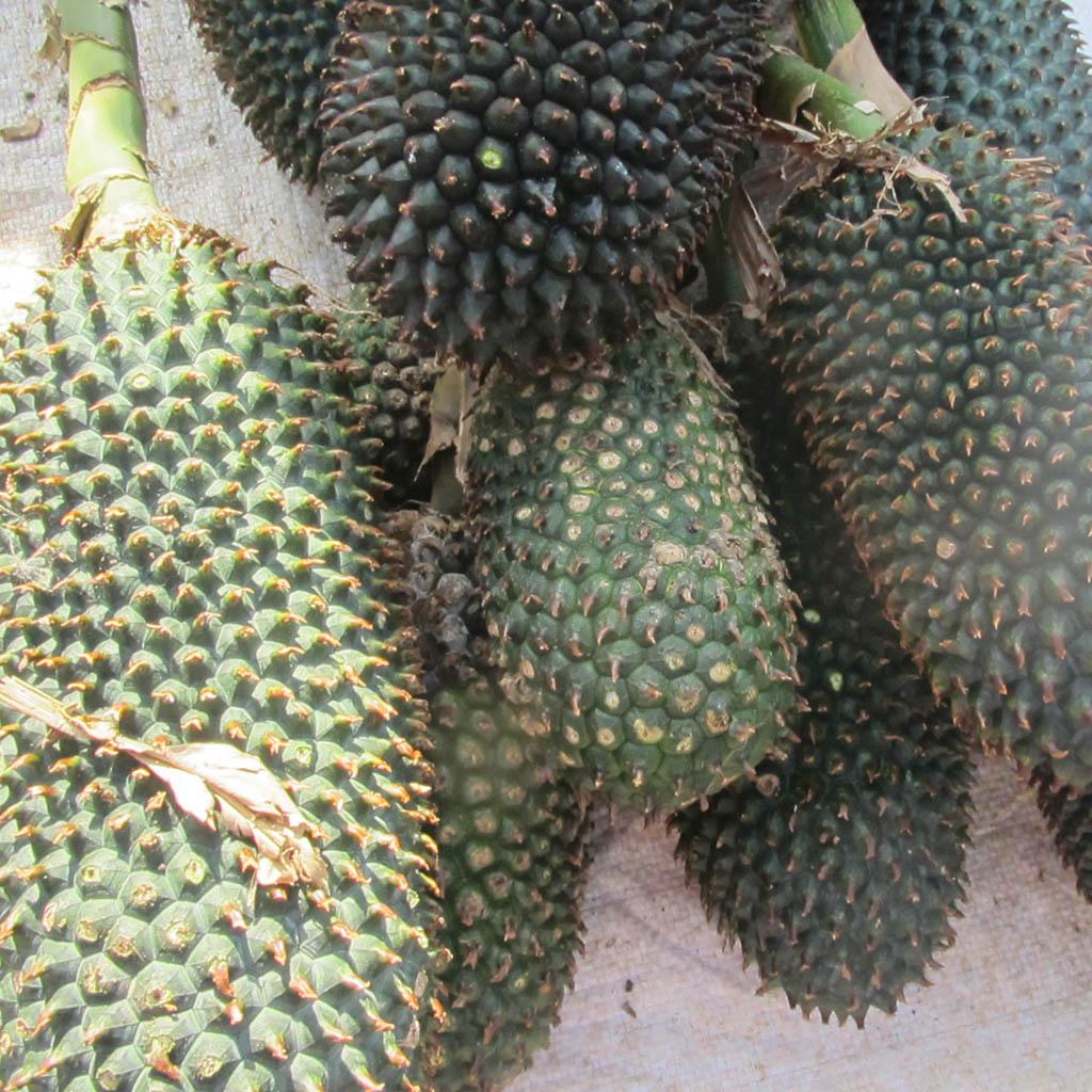 Dứa Rừng Khô Tây Bắc 1kg