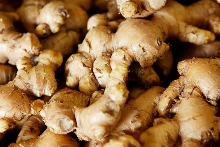 Gừng củ gừng giá bình ổn 200g