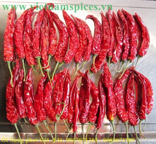 [HCM]ớt sừng trái phơi khô cao cấp 100gram