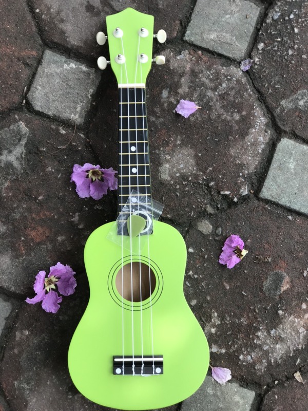 [HCM]Đàn ukulele soprano nhiều màu sắc cho mọi lứa tuổi - Mua 1 được 3 tặng 5 - HÀNG CÓ SẴN