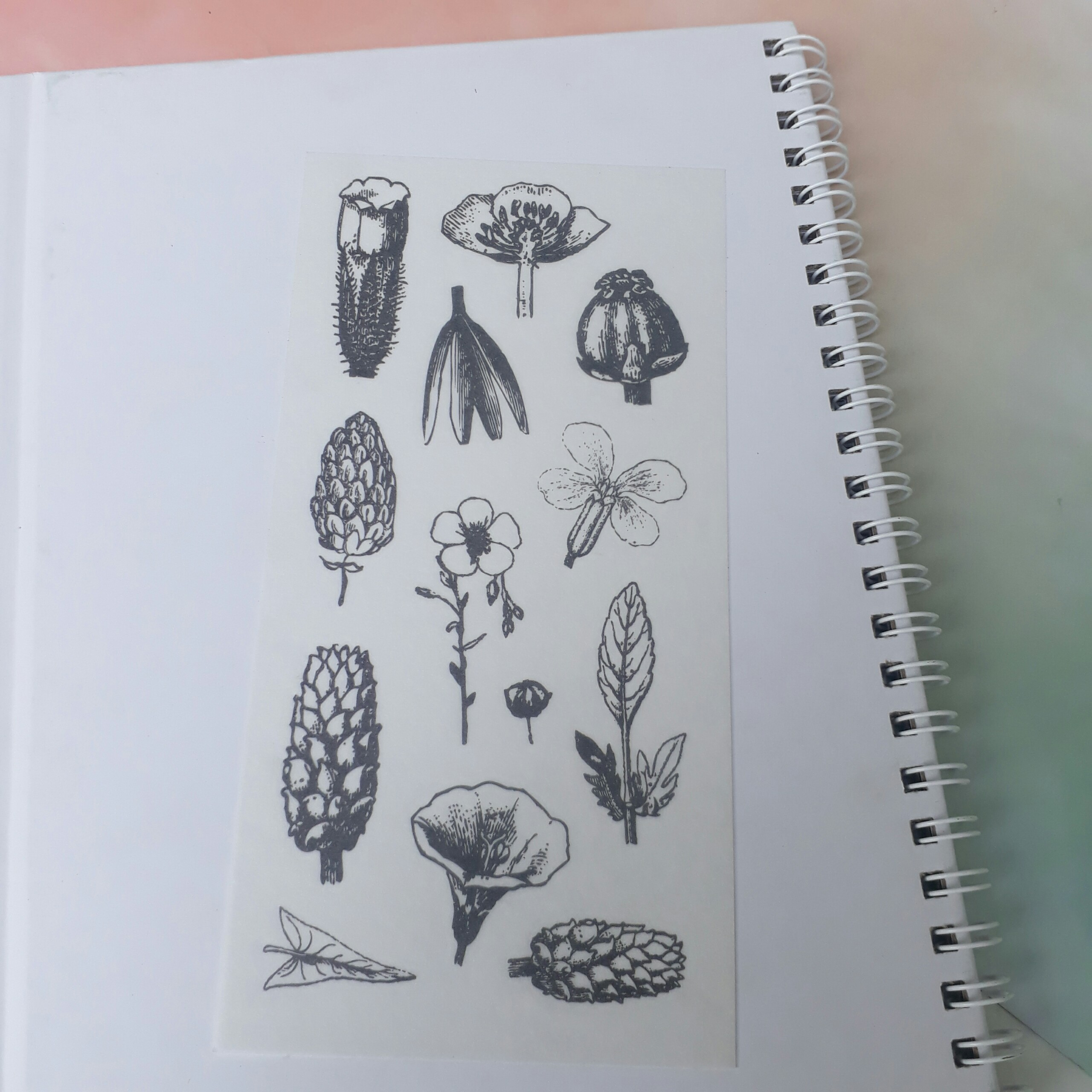 [HCM]Bộ 6 Tấm Sticker Hoa Cổ