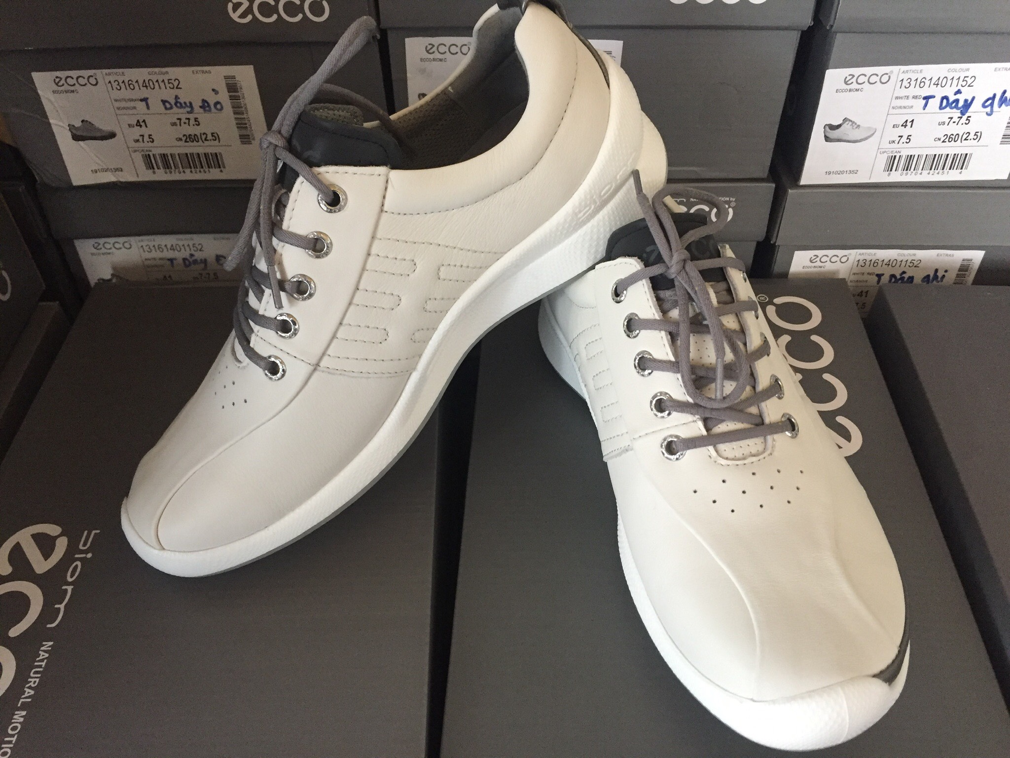 giày chơi golf eco (MEN)