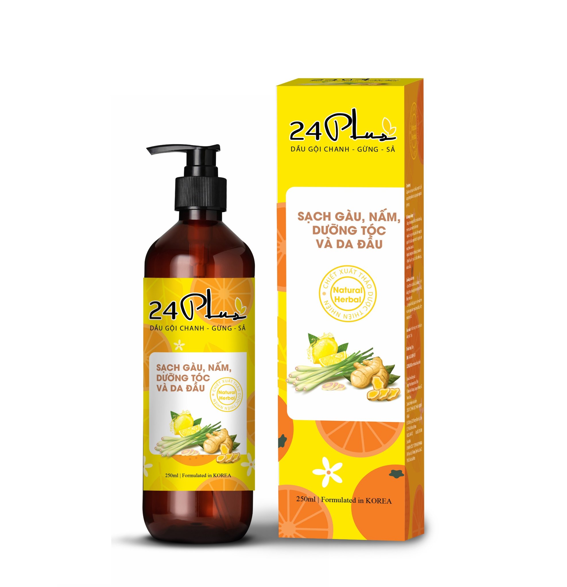Dầu gội chanh - gừng - sả 24plus