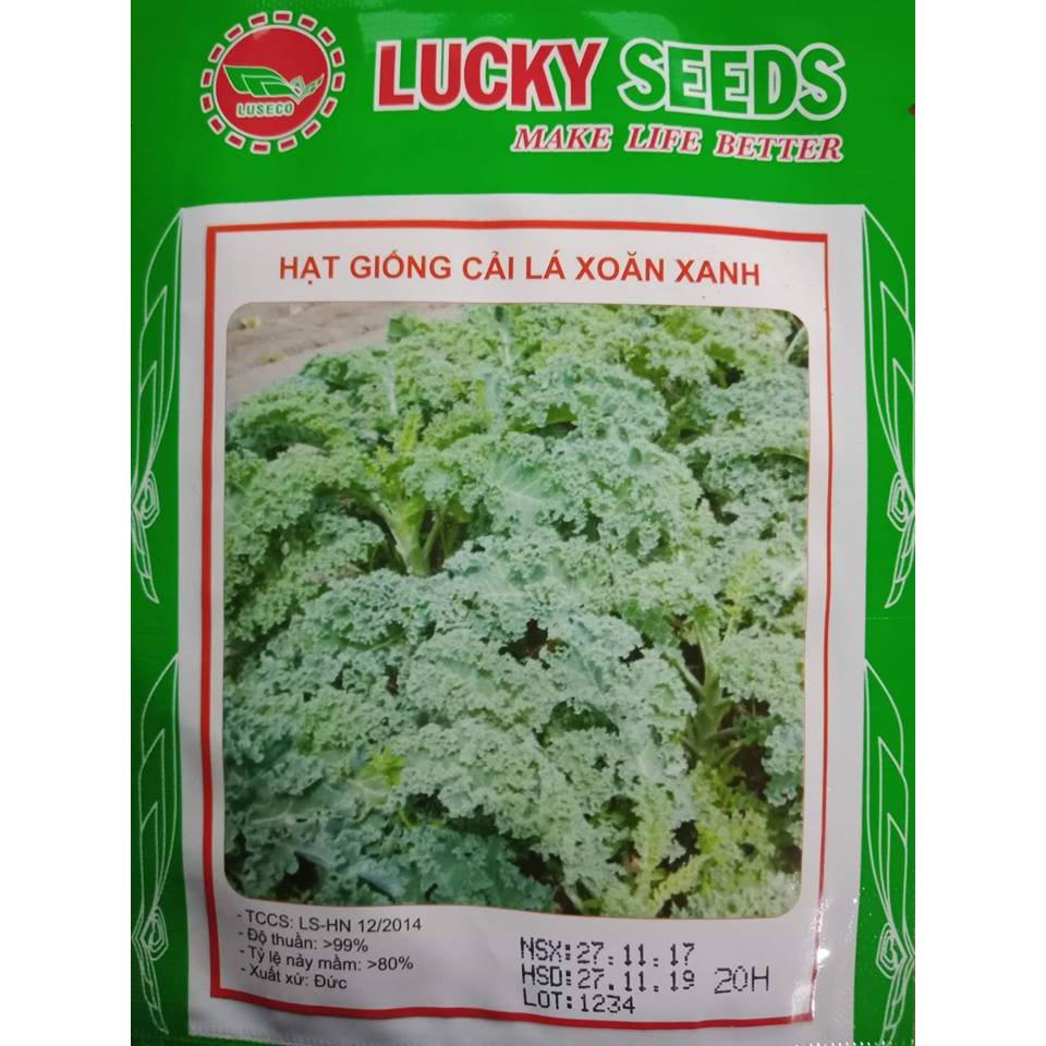 Hạt giống cải lá xoăn xanh
