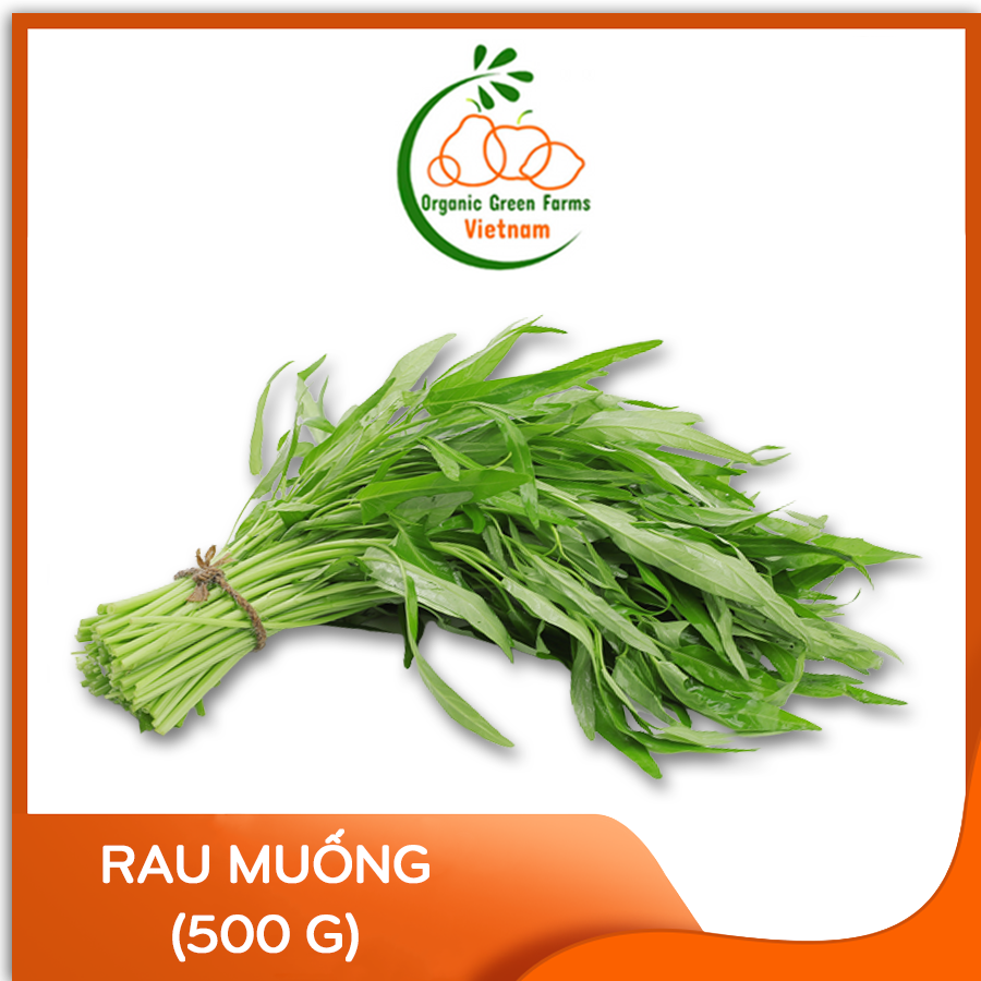 [OGF] - Rau muống (500 g) - [Giao nhanh TPHCM]