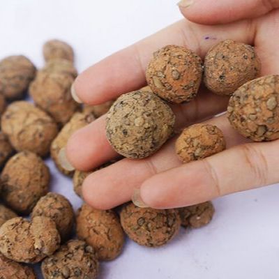 1kg Đất nung (sỏi nhẹ) trồng cây, hoa kiểng