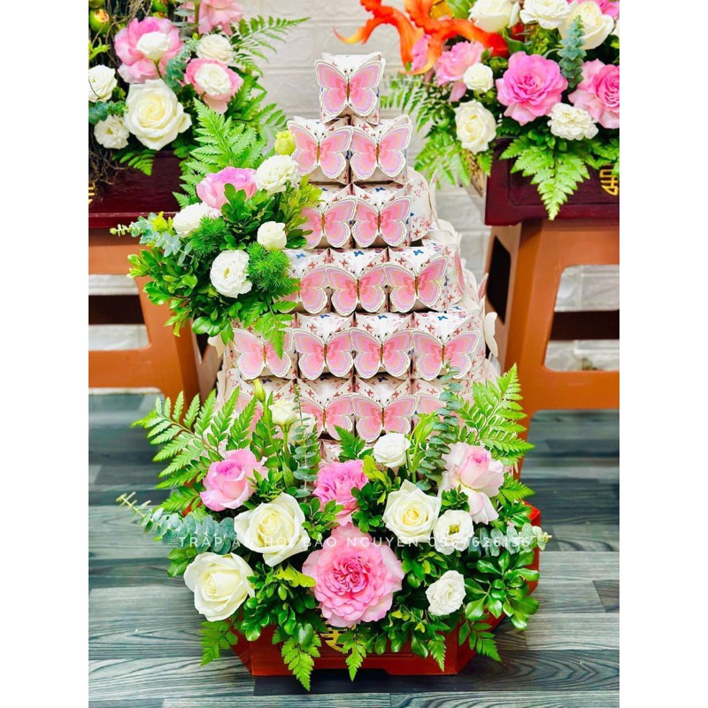 10 vỏ chè bướm (vỏ hộp giấy cánh bướm)
