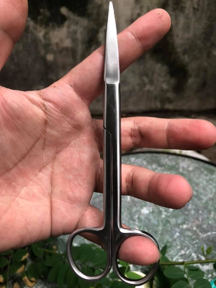 Kéo cắt tai tích, cắt lông cho Gà