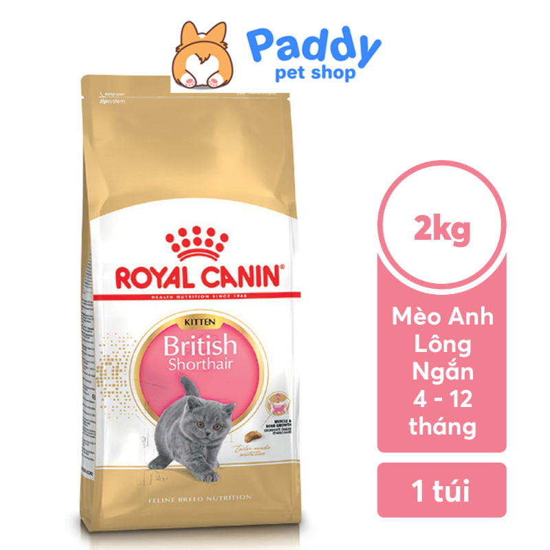 [2kg] Hạt Cho Mèo Con Anh Lông Ngắn Royal Canin British Shorthair Kitten