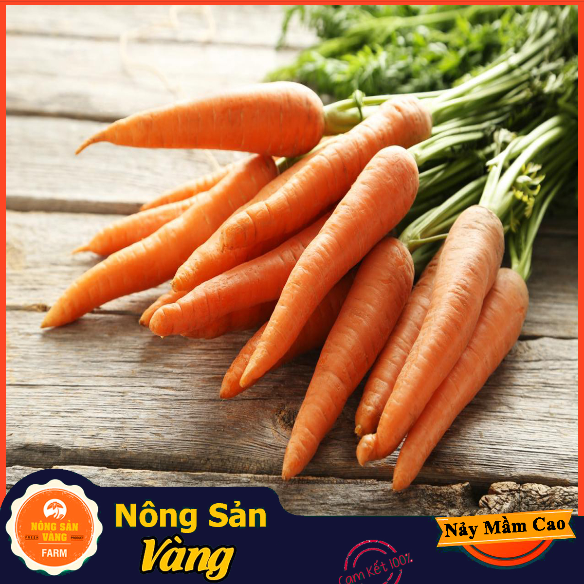 Hạt giống Cà Rốt Thường F1 ( Gói 3 Gram ) - Nông Sản Vàng