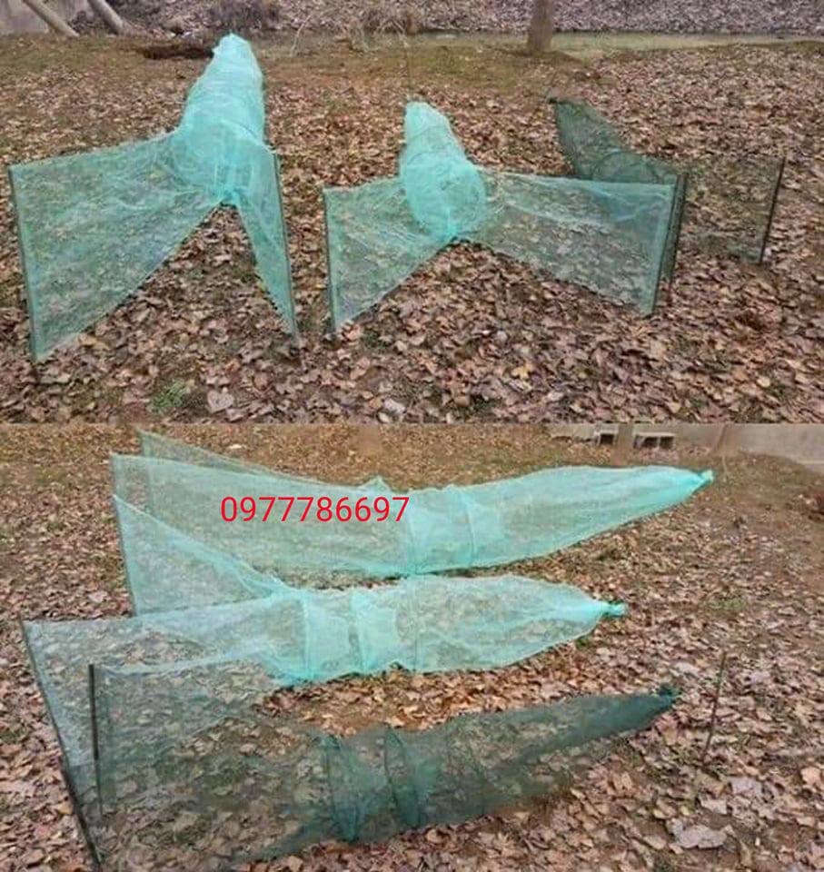 dớn chặn sông mương bắt các loại cá