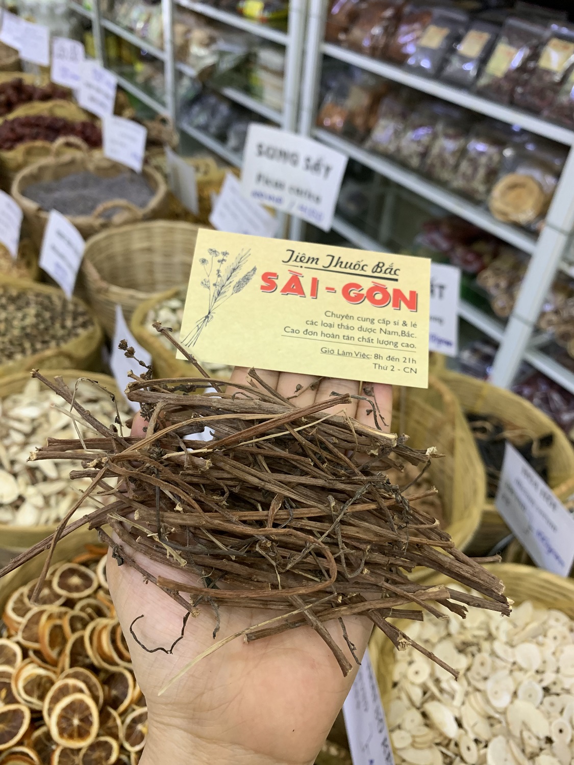 [HCM]CÂY THU ỐC DÒI 500GRAM Tiệm Thuốc Bắc Sài Gòn