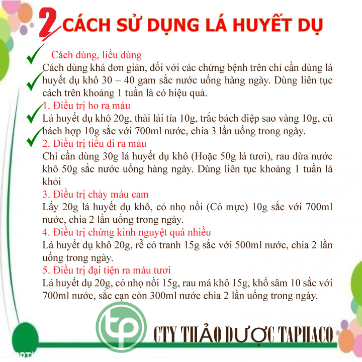 Cây huyết dụ túi lớn loại 1kg - Thảo Dược Tấn Phát - Hàng mới về