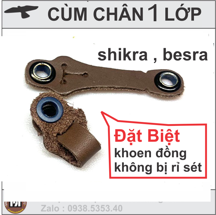 Bộ dây da loại  chim ưng