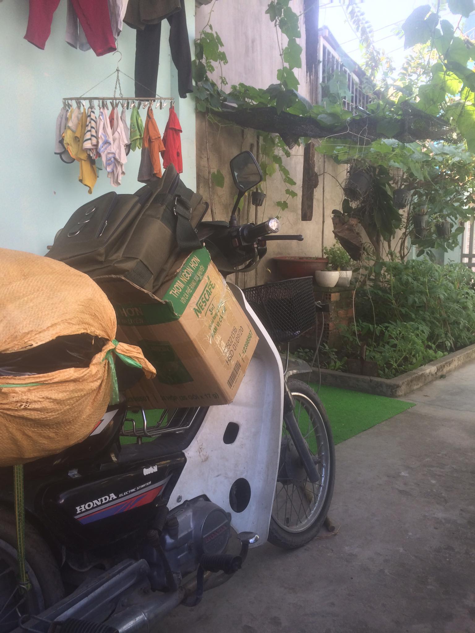 cà phê chồn việt
