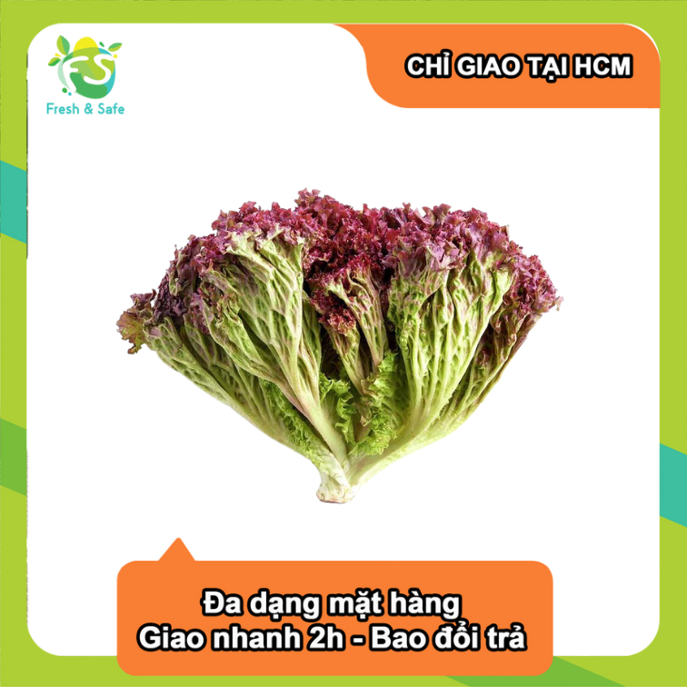 [Chỉ Giao HCM] Xà Lách Lolo Tím - 300g