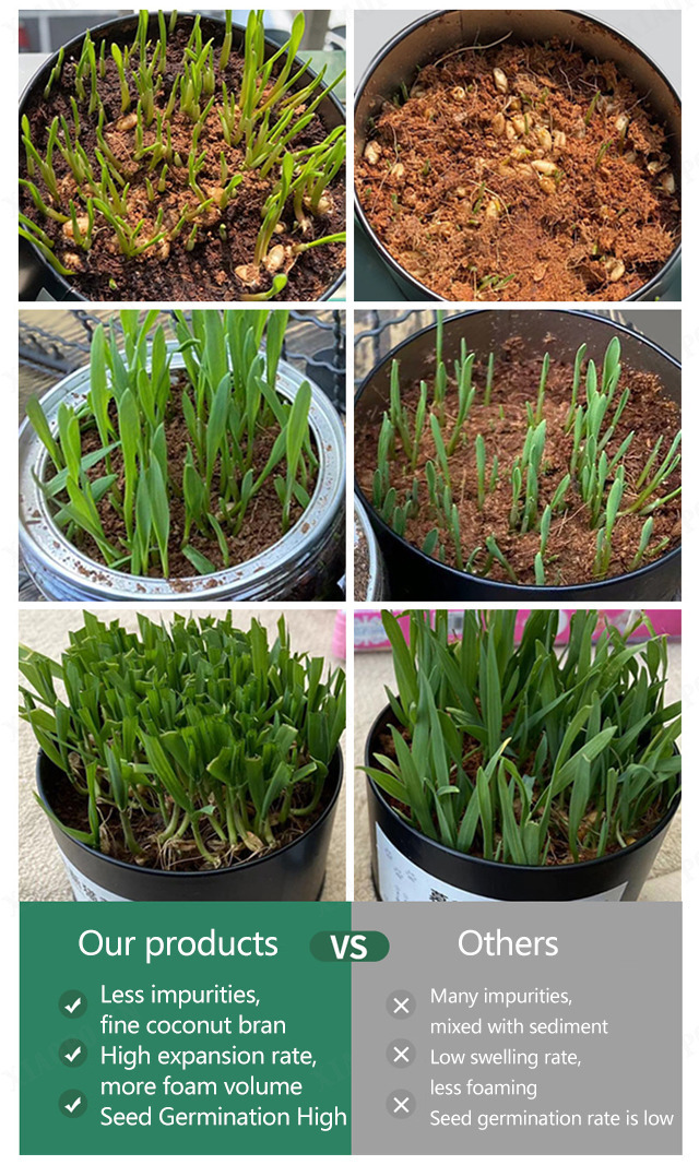 【1/2PCS】Green plant nutrient soil [organic natural coconut brick]