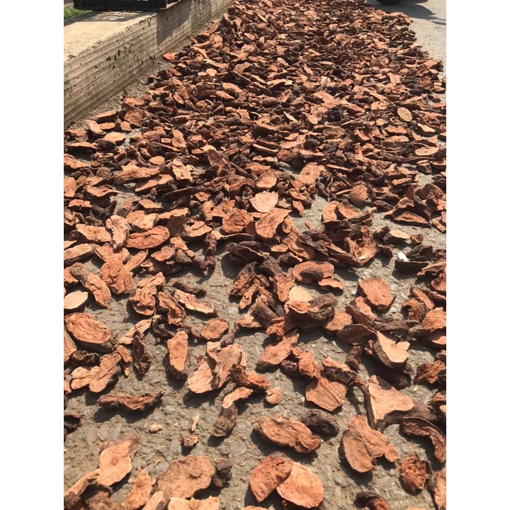 1Kg Hà Thủ Ô Đỏ Đã Sơ Chế