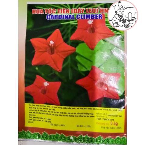 HẠT HOA TÓC TIÊN DẠNG LEO - GÓI 0,5 GRAM