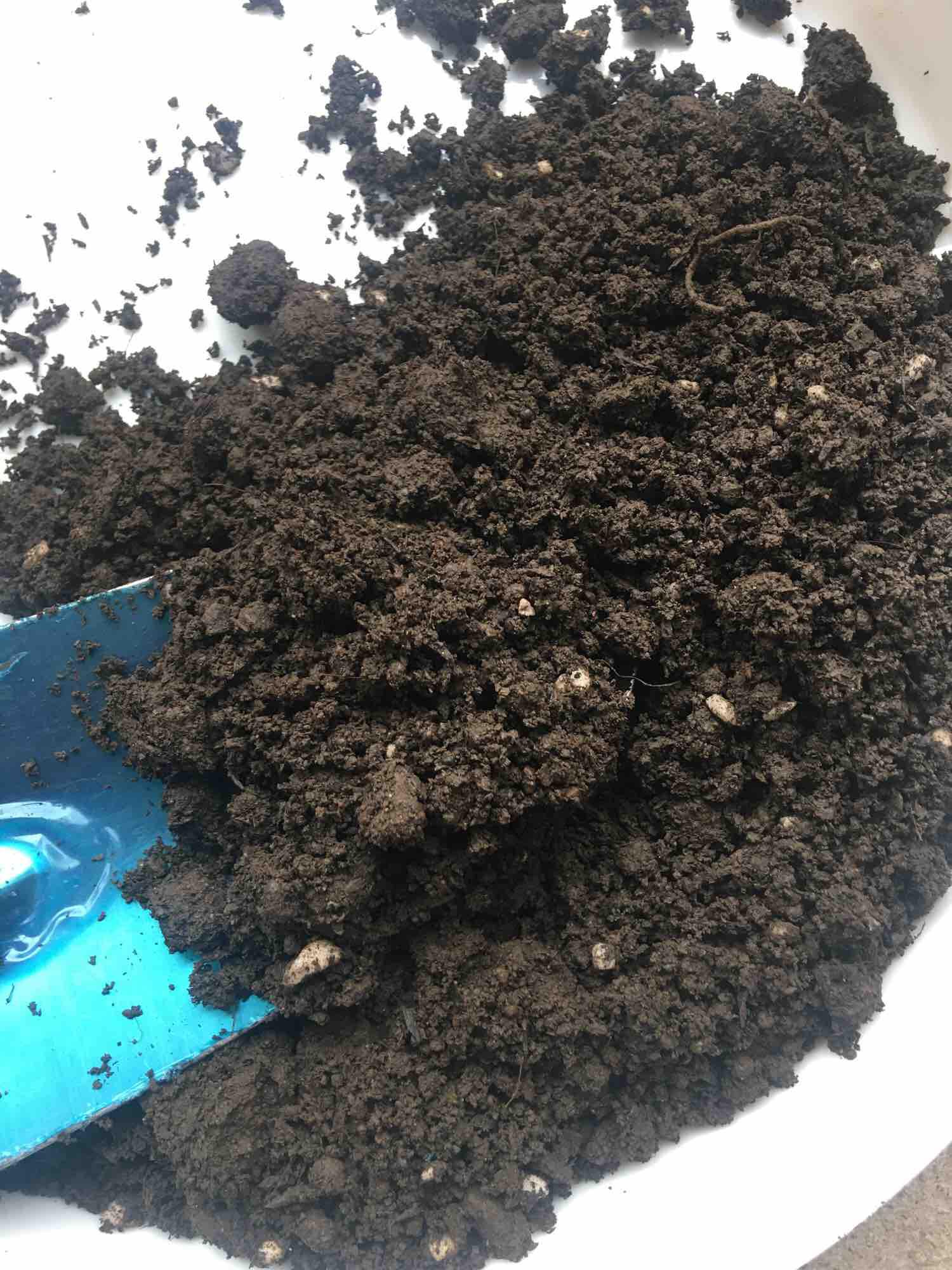 Đất chuyên trồng chậu dùng cho hoa cây cảnh, trồng rau 1kg