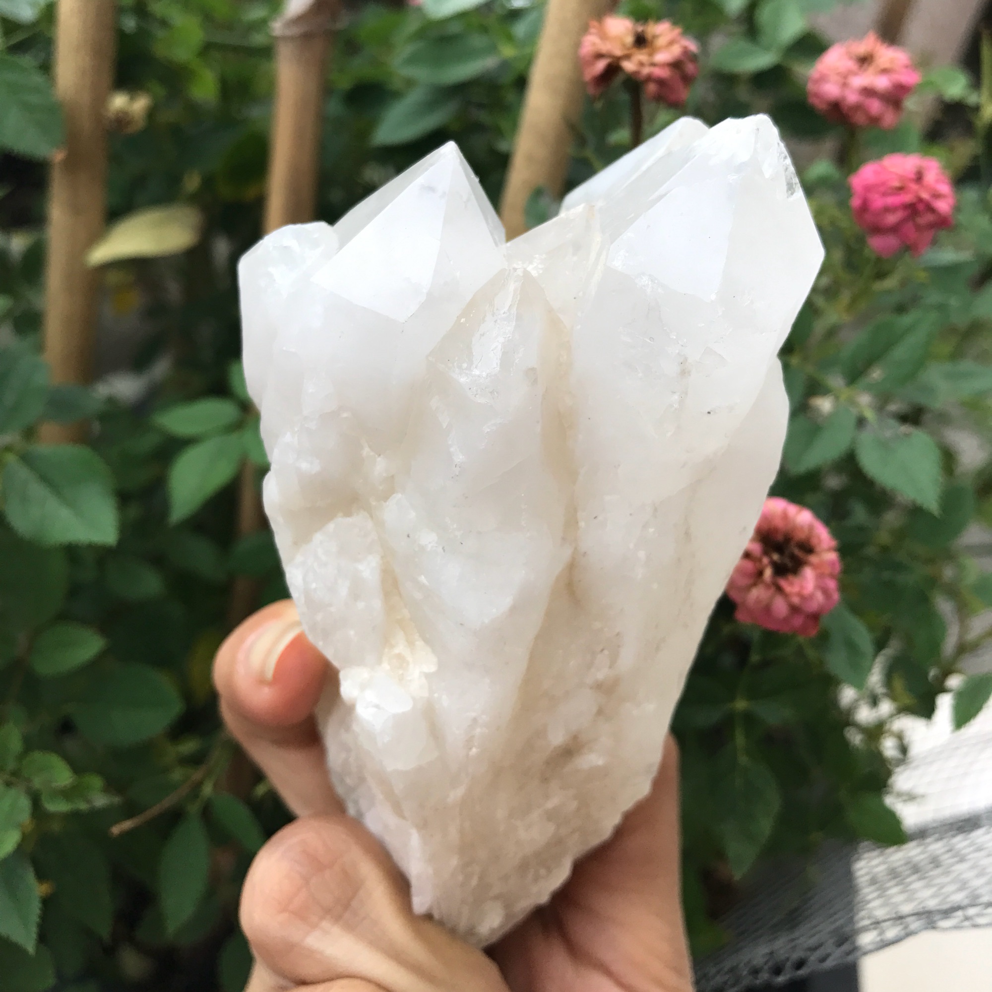 Đá thạch anh sưu tầm