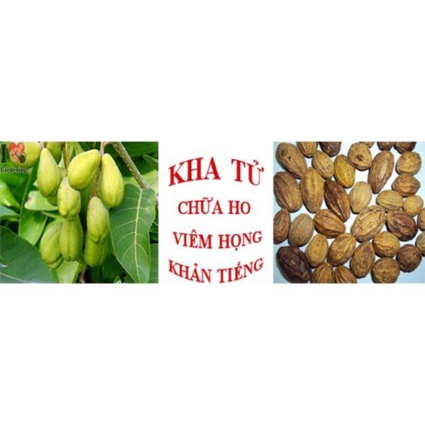 500gr quả kha tử khô nguyên chất