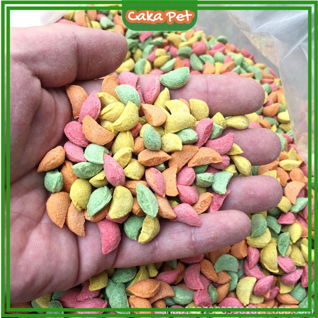 Snack thưởng cho hamster, chuột lang, thỏ 👩‍🏫 𝑩𝒂́𝒏𝒉 𝒅𝒂̣𝒚 𝒉𝒐̣𝒄 𝒄𝒉𝒐 𝒃𝒐𝒔𝒔 🐹30-80g Có nhận sỉ